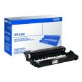 Brother Rumpu (DR2300)